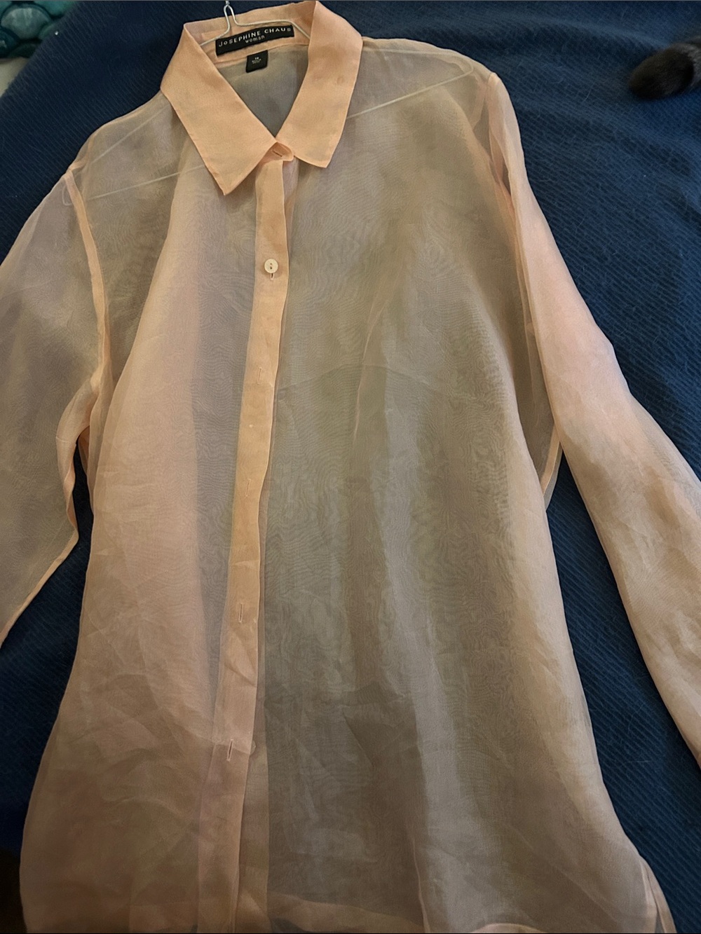 Josephine Chaus Sheer Blush Peach Button-Front Shirt